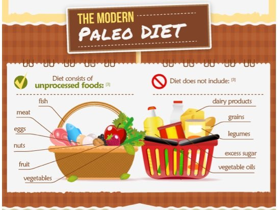 Paleo Style Diet
 5 Rules And The Shopping List For Paleo Diet Fitneass