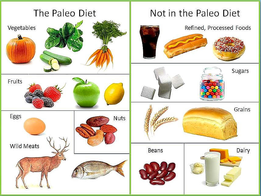 Paleo Style Diet
 Paleo t borrows eating style from Paleolithic times