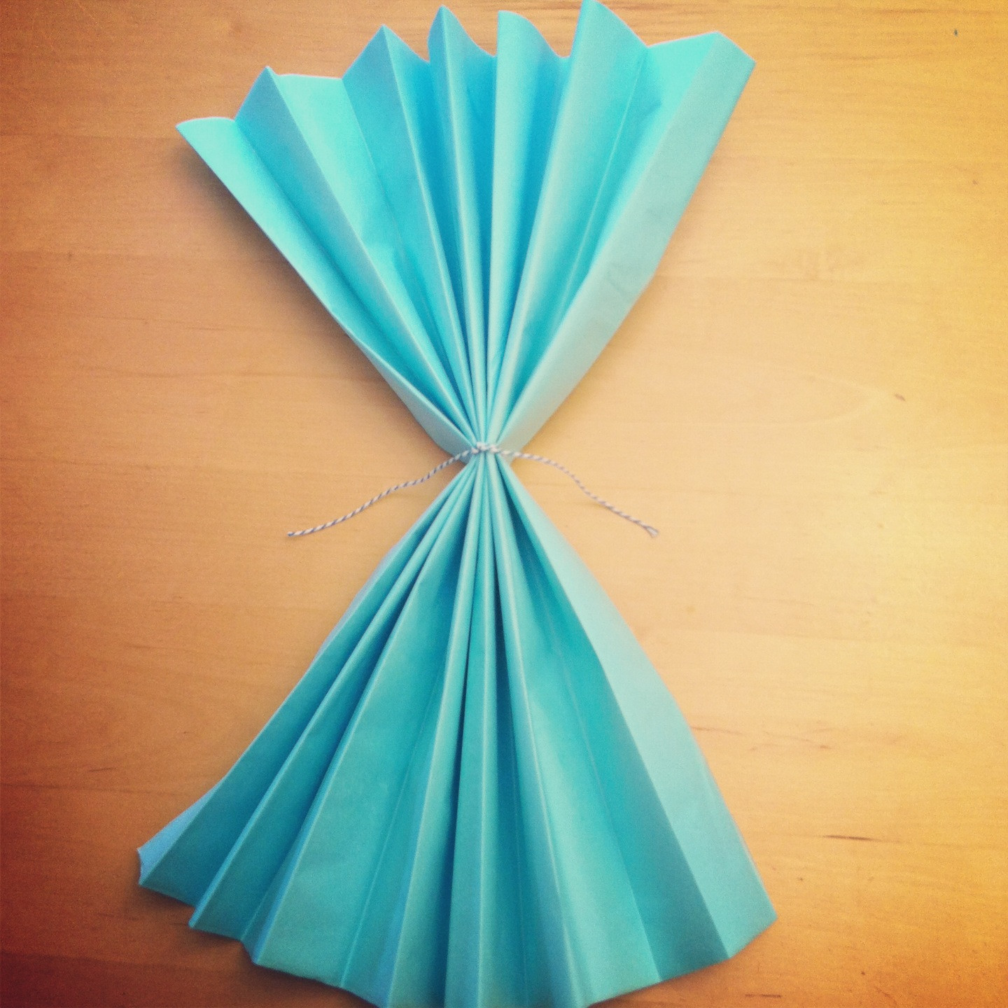 Paper Decor DIY
 Tutorial How To Make DIY Giant Tissue Paper Flowers