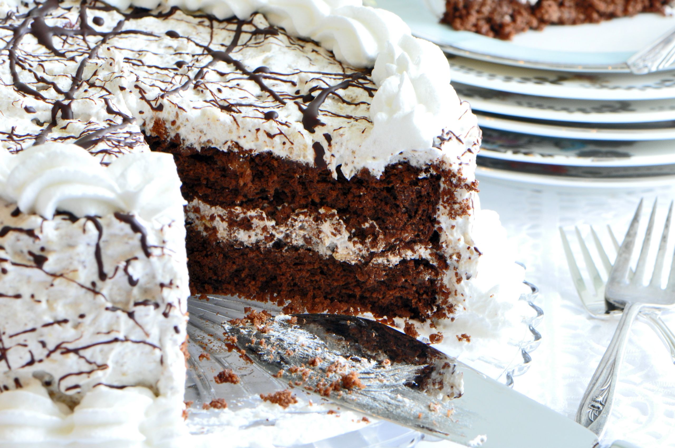 Passover Cake Recipes
 Passover Dessert Chocolate Noisette Layer Cake Recipe