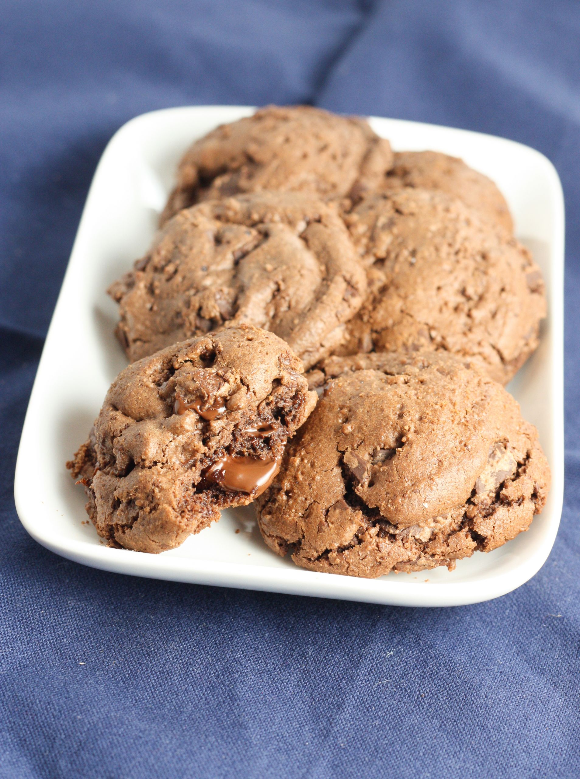 Passover Cookies Recipe
 Double Chocolate Passover Cookies