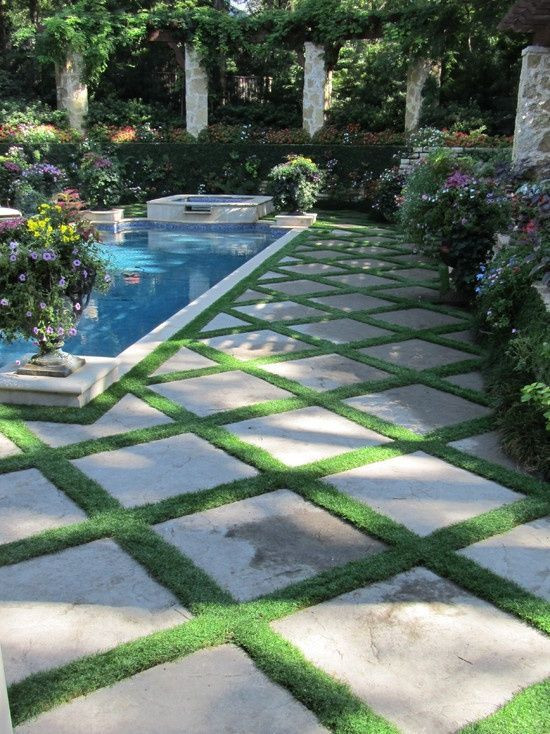 Patio And Landscaping
 Mondo Grass Between Pavers By Pool miniature mondo
