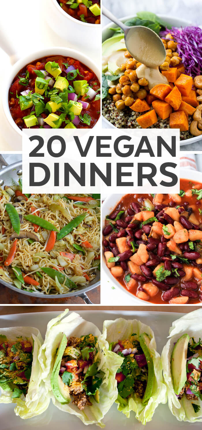 Pinterest Vegan Recipes
 20 Vegan Dinner Ideas Plant Based Diet Recipe Ideas