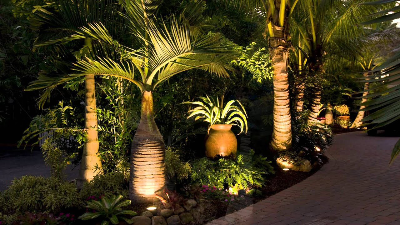 Plants Outdoor Landscape
 Landscaping Sarasota Florida with Tropical Palm Trees