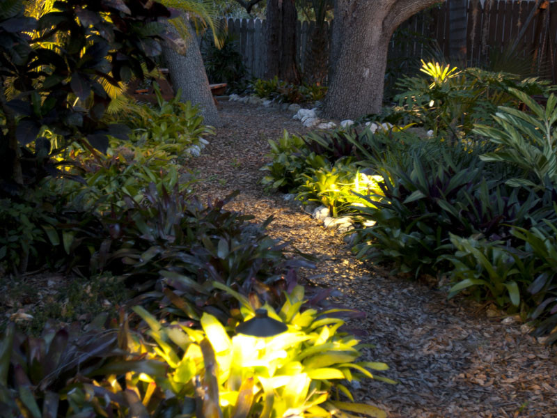 Plants Outdoor Landscape
 Lighting Outdoor Landscapes with Landscape Lighting for