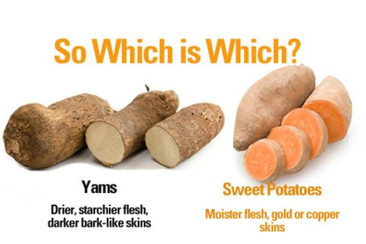 Potato Dietary Fiber
 Nutrition Facts