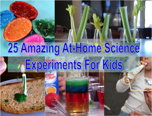 Projects To Do At Home For Kids
 25 Amazing At Home Science Experiments For Kids Find Fun