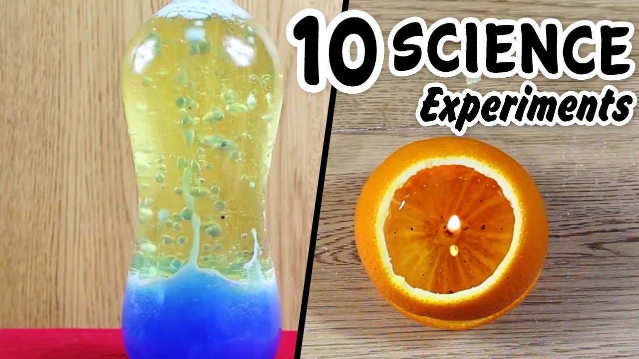 Projects To Do At Home For Kids
 Five Fun Science Experiments You Can Do at Home With Your Kids