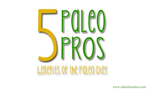 Pros And Cons Of Paleo Diet
 Paleo Benefits