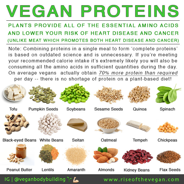 Protein Vegetarian Diets
 "But where do you your protein "