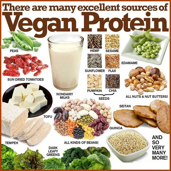 Protein Vegetarian Diets
 To all the people who claim a vegan t is expensive