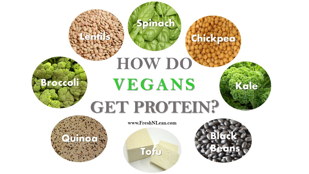 Protein Vegetarian Diets
 New US food guidelines show the power of lobbying not