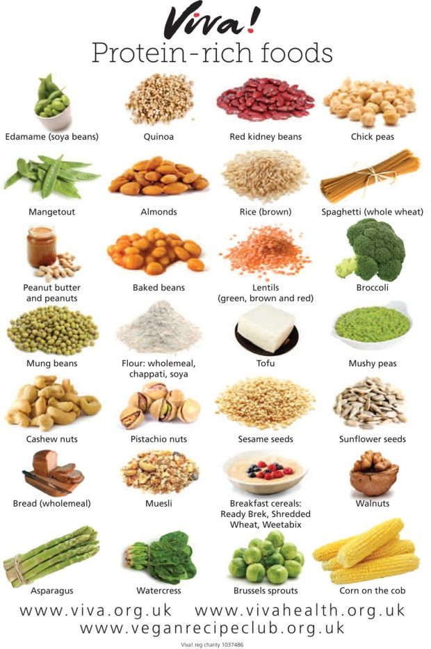 Protein Vegetarian Diets
 VEGAN PROTEIN RICH FOODS Food