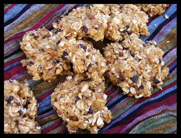 Quinoa Diabetes Recipes
 Simple Spoonful Recipe New Moon Quinoa Coconut Cookies
