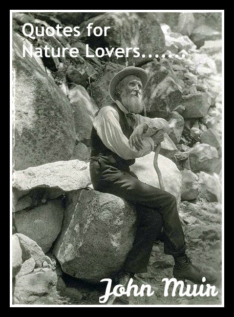 Quotes For Lovers
 Quotes for Nature Lovers – John Muir