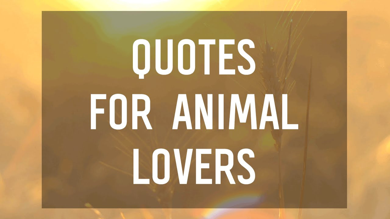 Quotes For Lovers
 6 Quotes for Animal Lovers