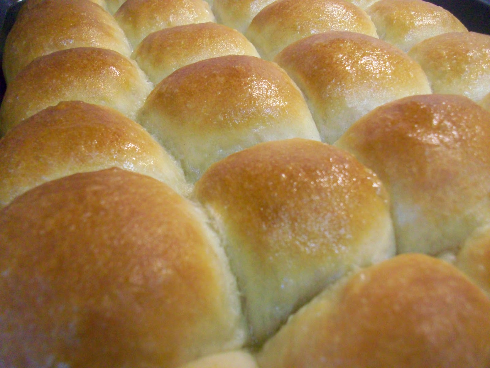 Recipe For Dinner Roll
 At Home With Haley Perfect Dinner Rolls