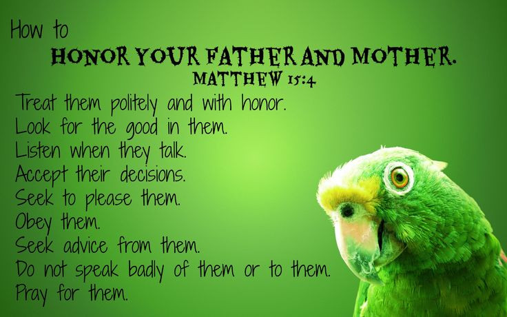 Respect Your Mother Quotes
 Respect Your Mother Quotes QuotesGram