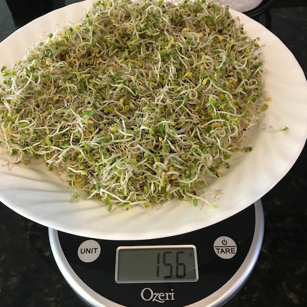 Rhonda Patrick Broccoli Sprouts
 Adventures in Broccoli Sprouting Review of the Easy
