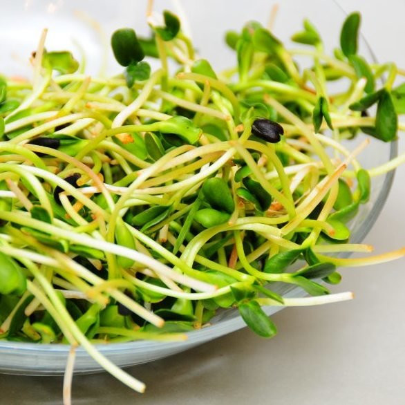 Rhonda Patrick Broccoli Sprouts
 How to Hack Your Broccoli Sprouts for Maximum Nutrition