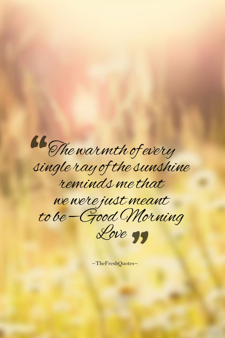 Romantic Good Morning Quotes
 15 Sweet Morning Quotes to Love