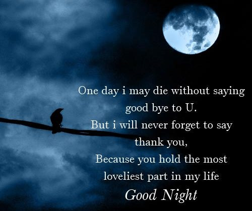 Romantic Good Night Quotes
 Romantic Goodnight Quotes For Him QuotesGram