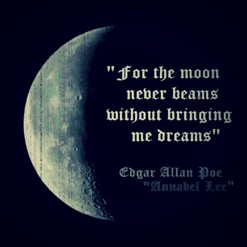 Romantic Moon Quotes
 Romantic Moon Quotes QuotesGram
