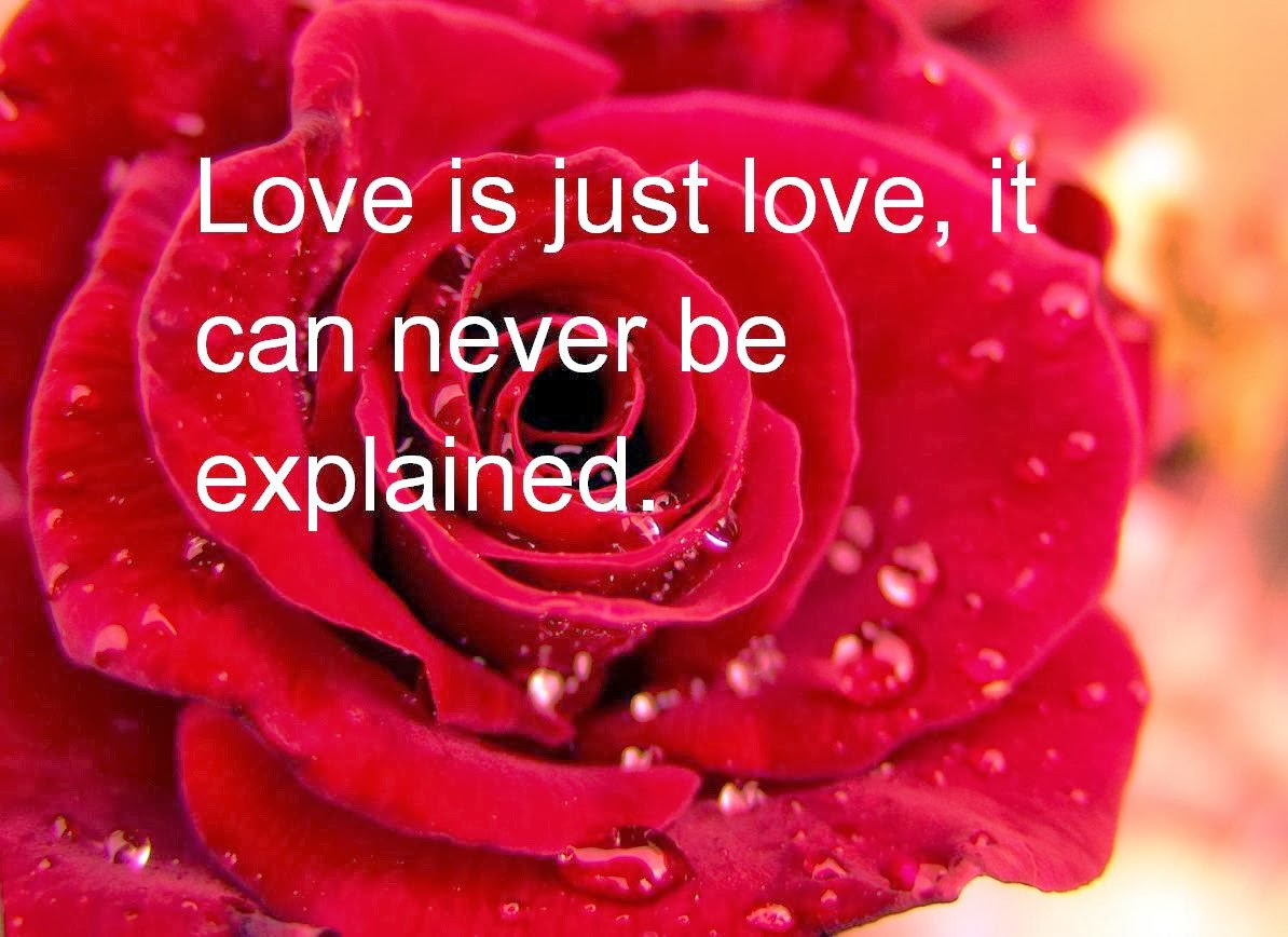 Romantic Valentine Quote
 Romantic Quotes for Valentine s Day 2014