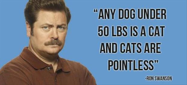 Ron Swanson Motivational Quotes
 10 Reasons Why Ron Swanson Is The Perfect Role Model