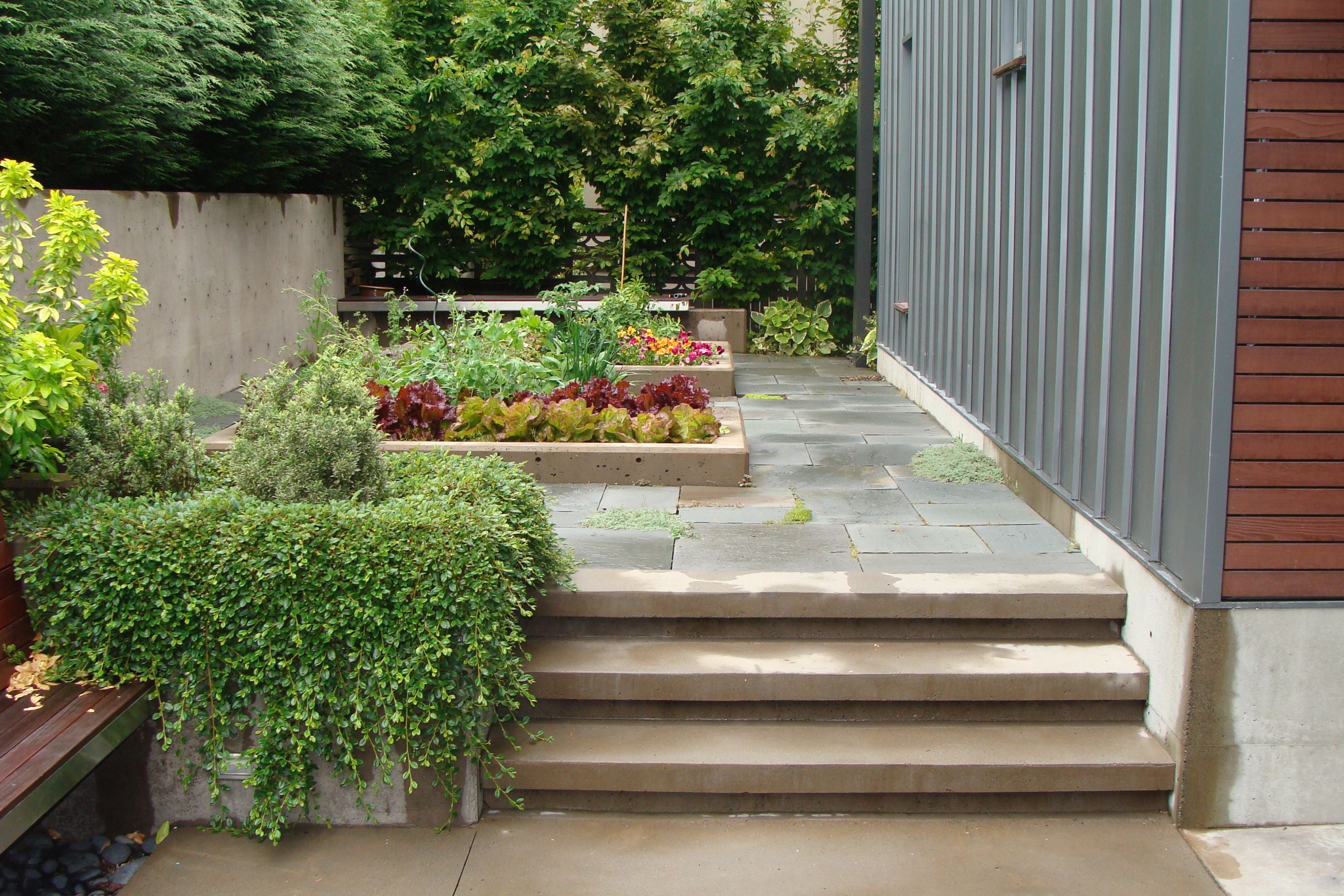 Seattle Landscape Design
 residential garden design
