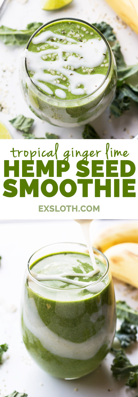 Seeds For Smoothies
 Tropical Ginger Hemp Seed Smoothie Diary of an ExSloth