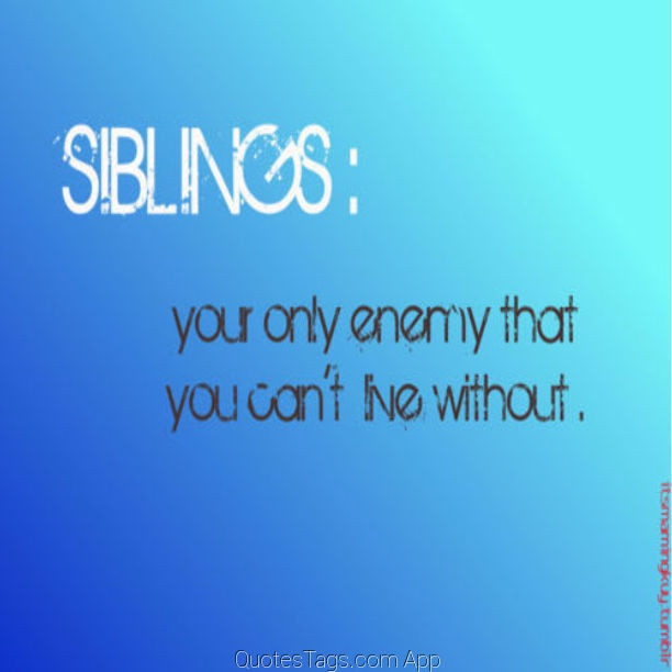 Sibling Relationships Quotes
 Sibling Quotes Sibling Sayings