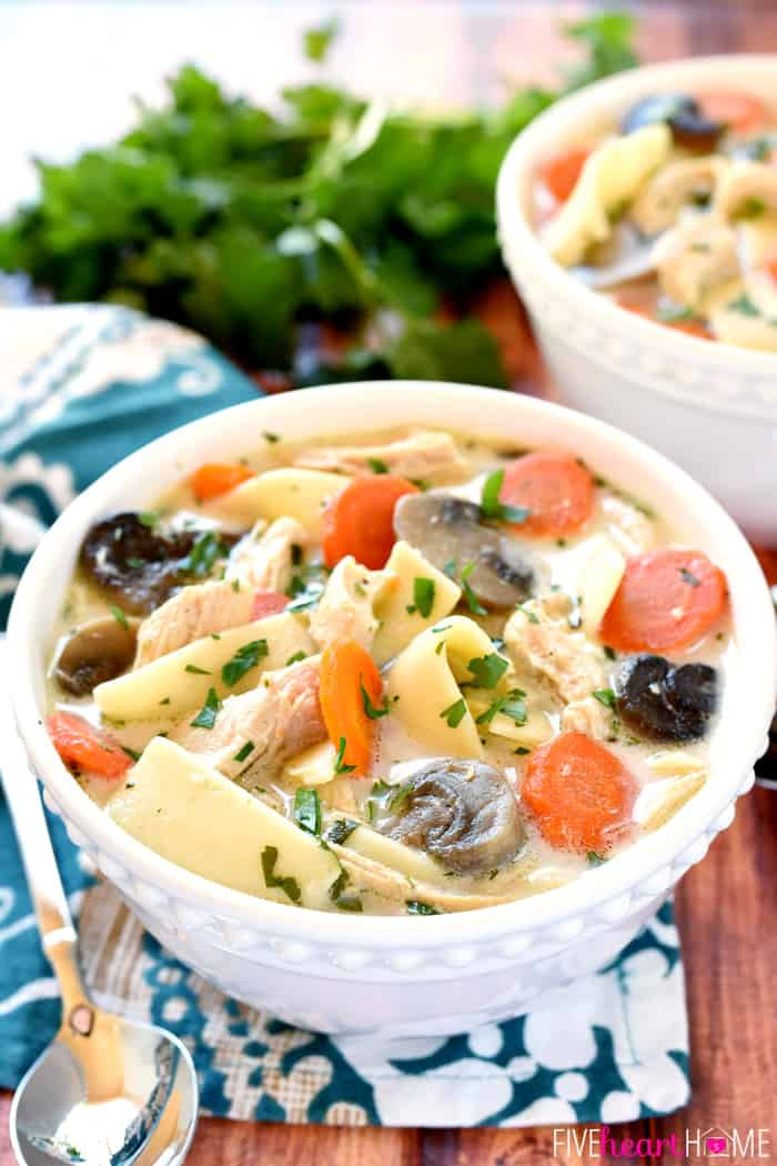Slow Cooker Chicken Noodle Soup
 The Best Slow Cooker Chicken Noodle Soup • FIVEheartHOME