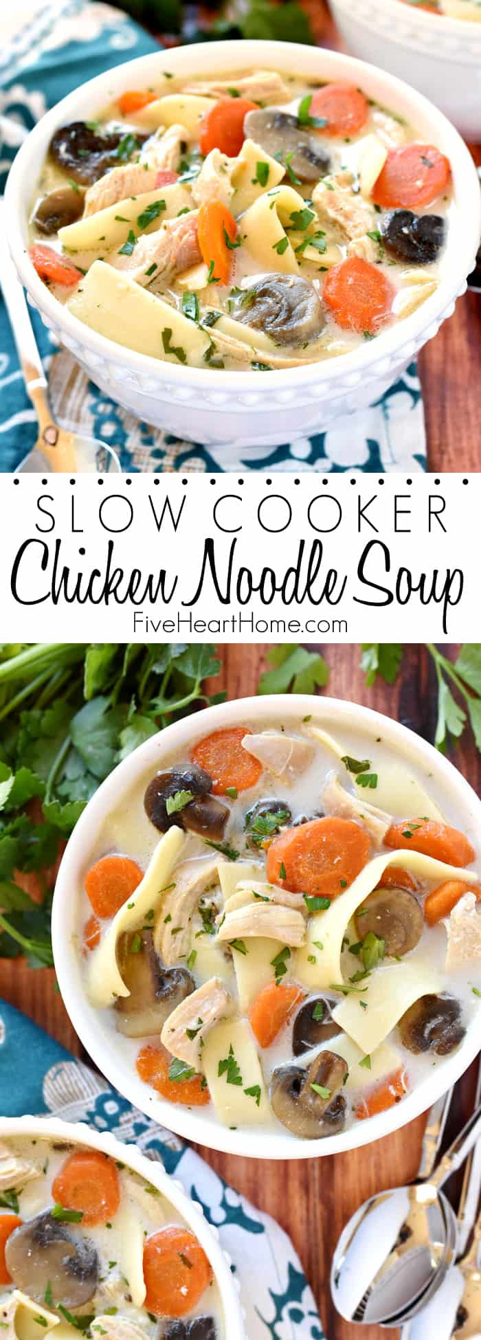 Slow Cooker Chicken Noodle Soup
 The Best Slow Cooker Chicken Noodle Soup