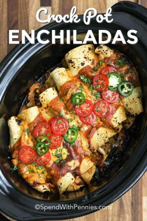 Slow Cooker Shredded Chicken For Enchiladas
 Easy Slow Cooker Chicken Enchiladas Spend With Pennies