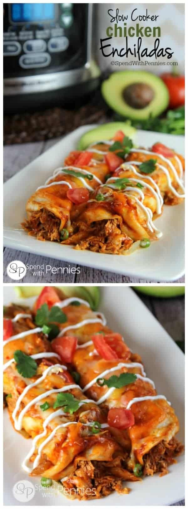 Slow Cooker Shredded Chicken For Enchiladas
 Slow Cooker Chicken Enchiladas Recipe