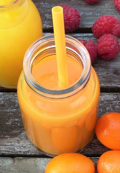 Smoothie Recipes For Pregnancy
 Pregnancy Smoothies Recipe Top 10 to Boost Your Prenatal Glow