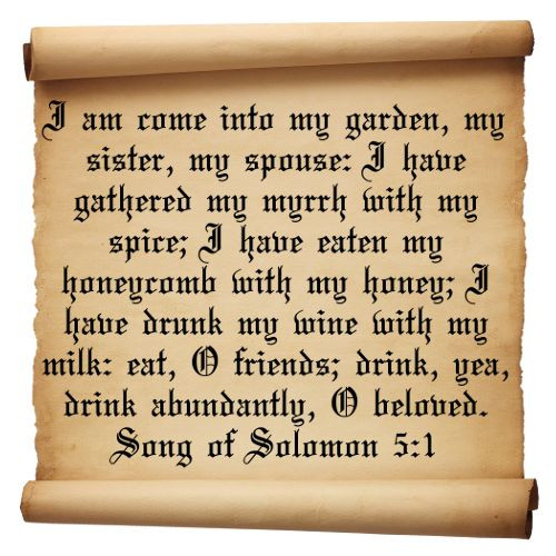 Songs Of Solomon Love Quotes
 Song Solomon Love Quotes QuotesGram