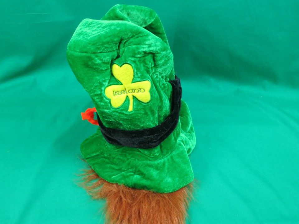 St Patrick's Day Activities
 FUNNY HAPPY ST PATRICK S DAY GREEN LEPRECHAUN HAT AND