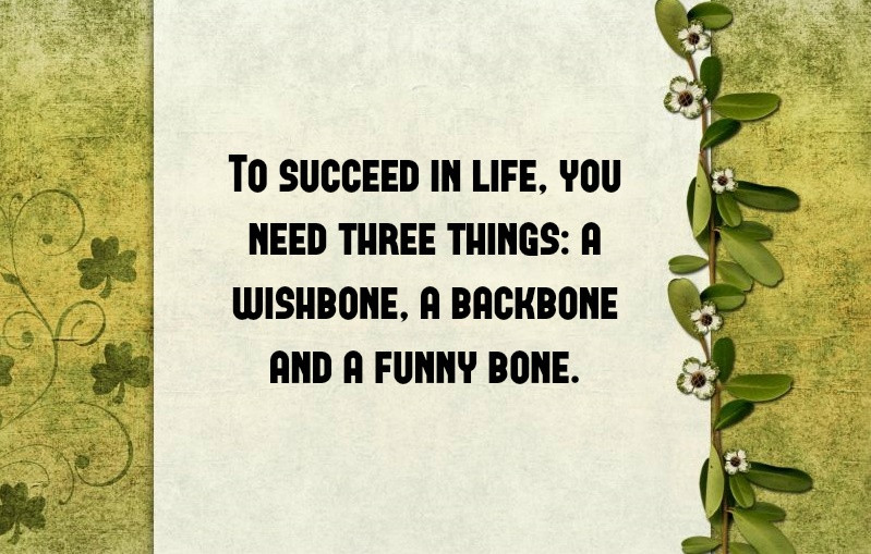 St Patrick's Day Funny Quotes
 10 Funny St Patrick’s Day Quotes To In 2018