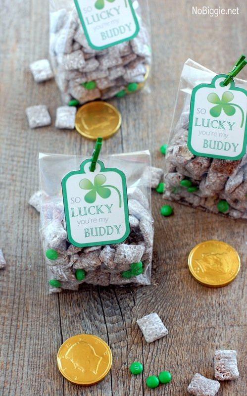 St Patrick's Day Ideas For Work
 St Patrick s Day Muddy Bud s with Printable