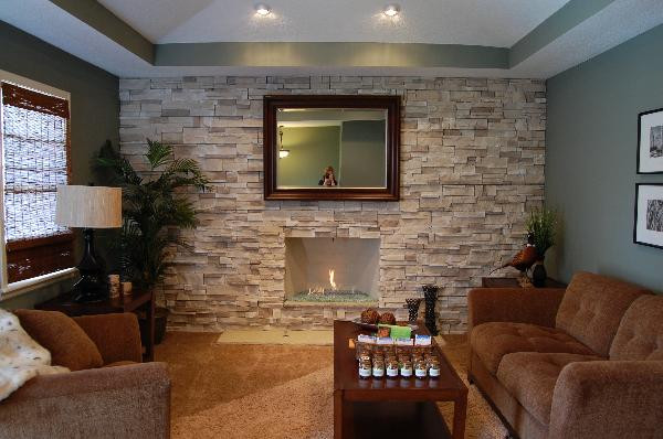 Stone Accent Wall Living Room
 Stone Living Room Ideas Traditional living room
