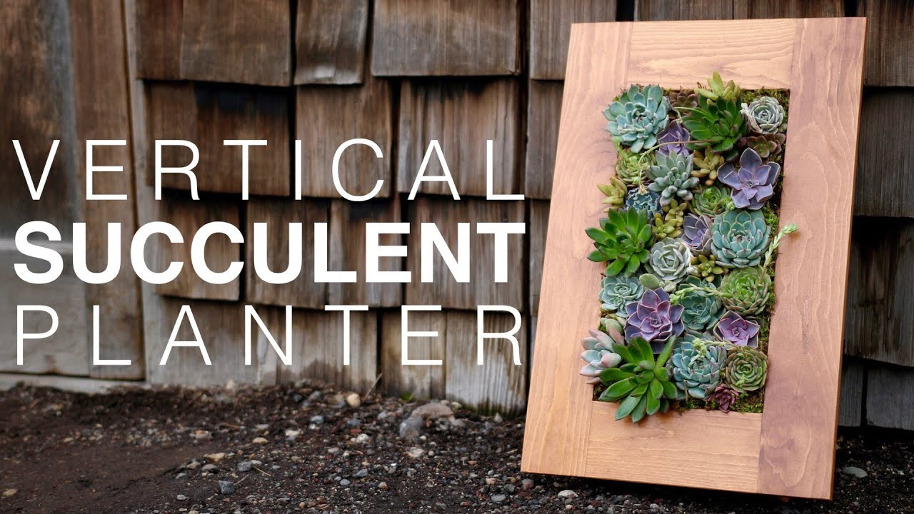 Succulent Living Wall Planter
 GroVert Living Wall Planter with Succulents