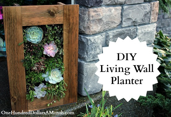 Succulent Living Wall Planter
 DIY Sedum and Succulent Living Wall Planter e Hundred