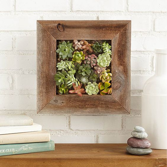 Succulent Living Wall Planter
 Un monGoods Gift Guide 2 Bees in a Pod