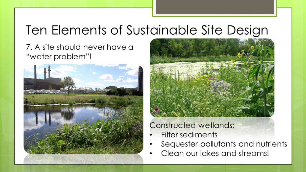 Sustainable Landscape Designs
 Top Ten Elements of Sustainable Landscape Design