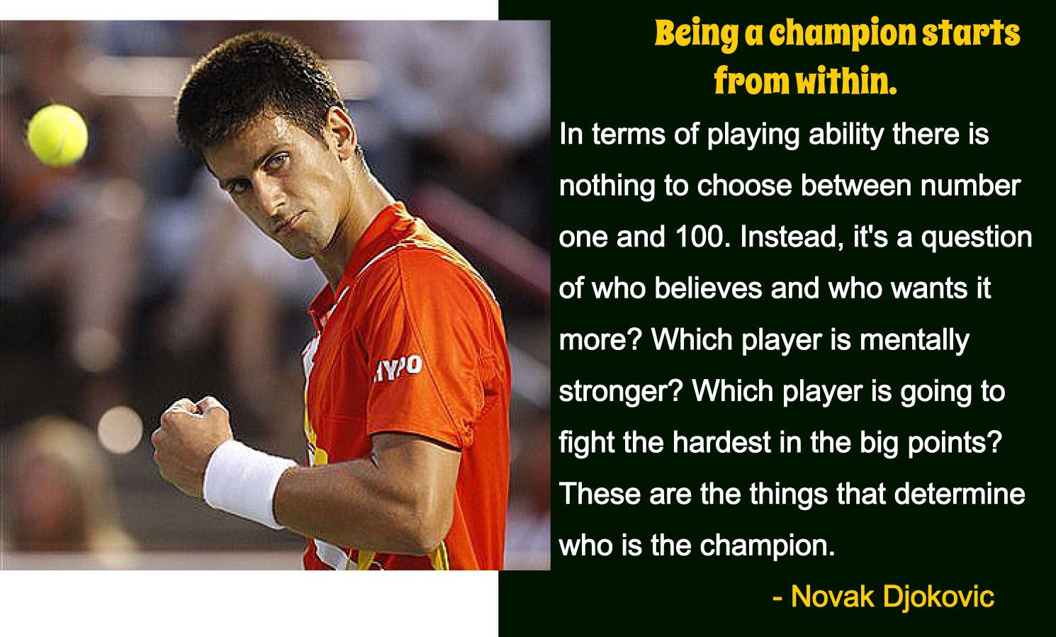 Tennis Motivational Quotes
 Novak Djokovic Inspirational Tennis Quotes QuotesGram