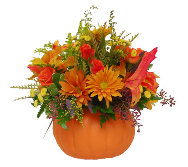 Thanksgiving Flower Delivery
 Departments About