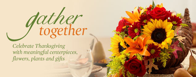 Thanksgiving Flower Delivery
 Thanksgiving Shop Thanksgiving Flowers Centerpieces