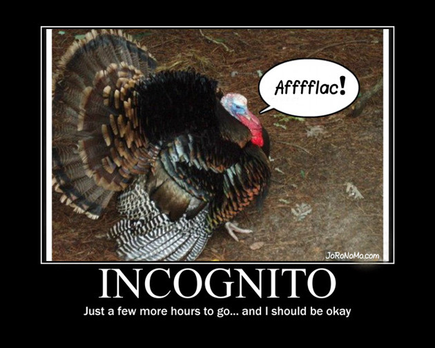 Thanksgiving Turkey Funny
 Vh Aflac Turkey Incognito funny thanksgiving pic cartoon